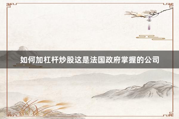 如何加杠杆炒股这是法国政府掌握的公司