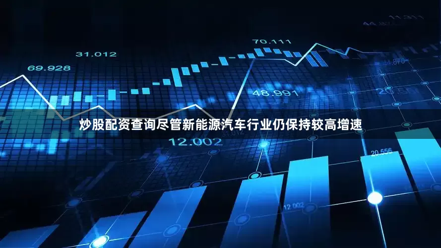 炒股配资查询尽管新能源汽车行业仍保持较高增速