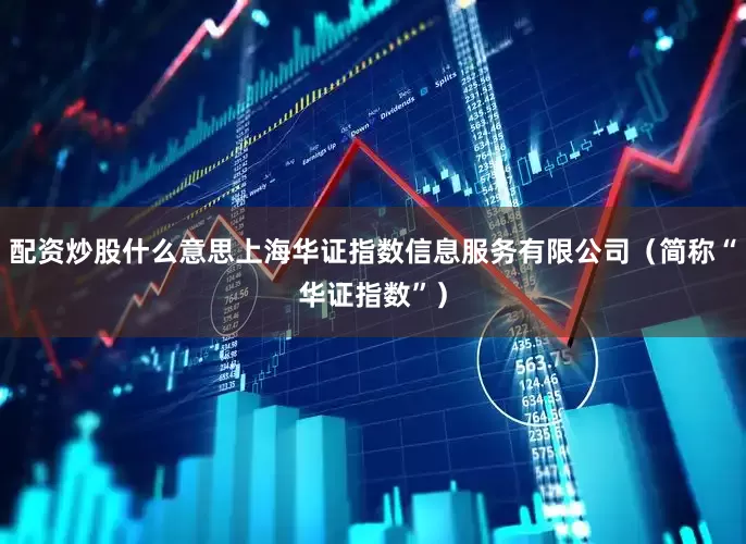 配资炒股什么意思上海华证指数信息服务有限公司（简称“华证指数”）