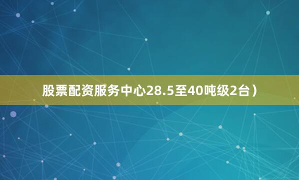 股票配资服务中心28.5至40吨级2台）
